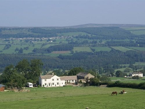 Wensley Capple Bank Farm Bed & Breakfast エクステリア 写真